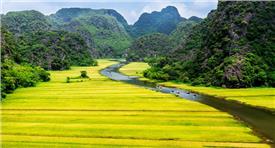Du lịch Tràng An - Hang Múa - Ninh Bình