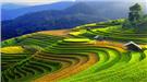 Ruộng bậc thang Việt Nam vào top ảnh du lịch đẹp